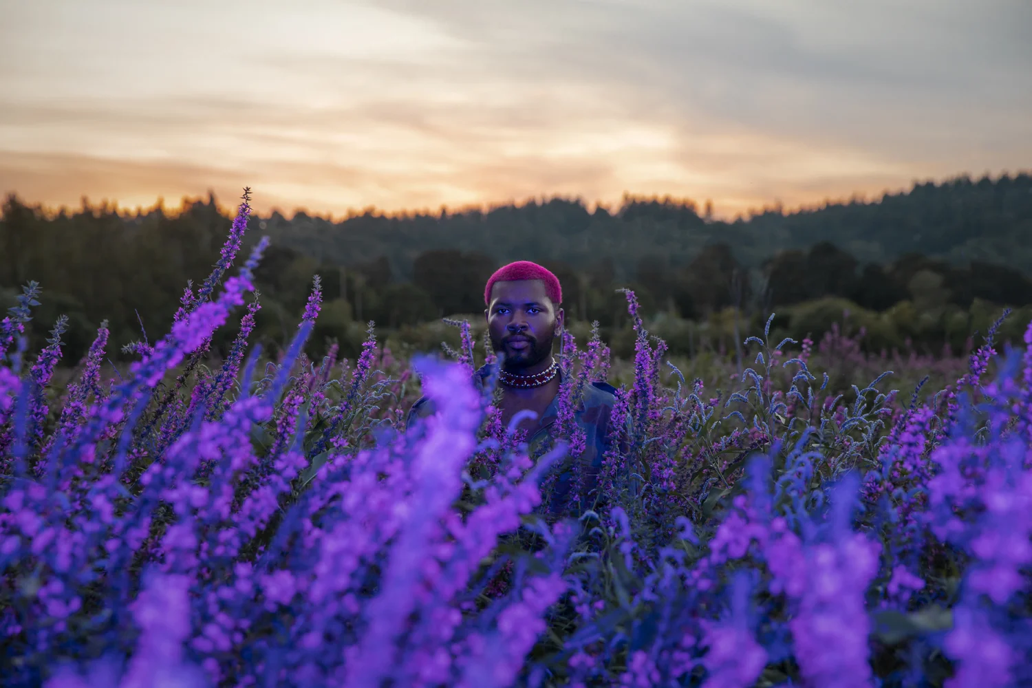 PUP_LooseStrife_010.jpg