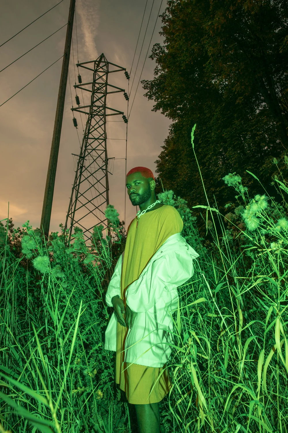 PUP_LooseStrife_015.jpg