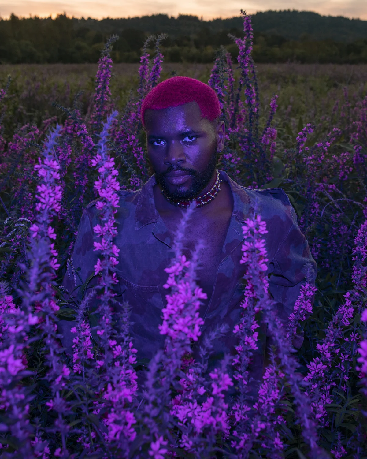 PUP_LooseStrife_016.jpg