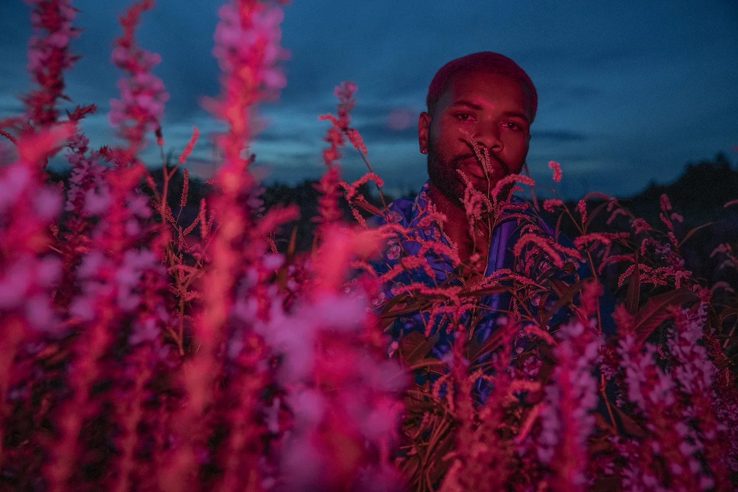 PUP_LooseStrife_018.jpg