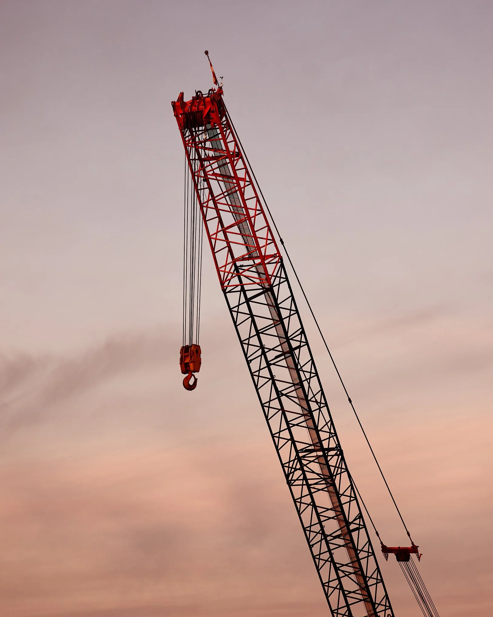 DNR_GoThere26_Crane_0327.jpg