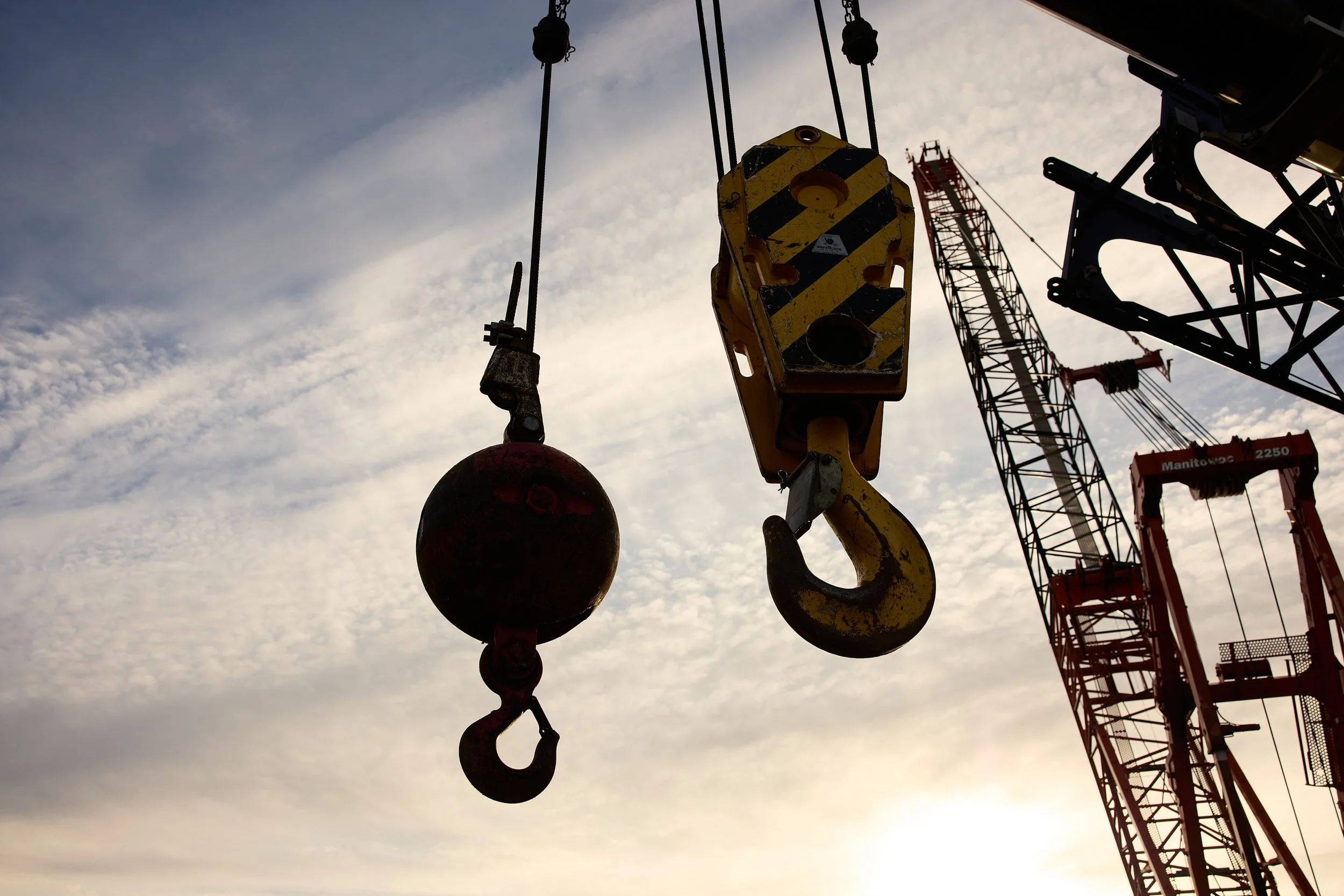 DNR_GoThere26_Crane_1293.jpg