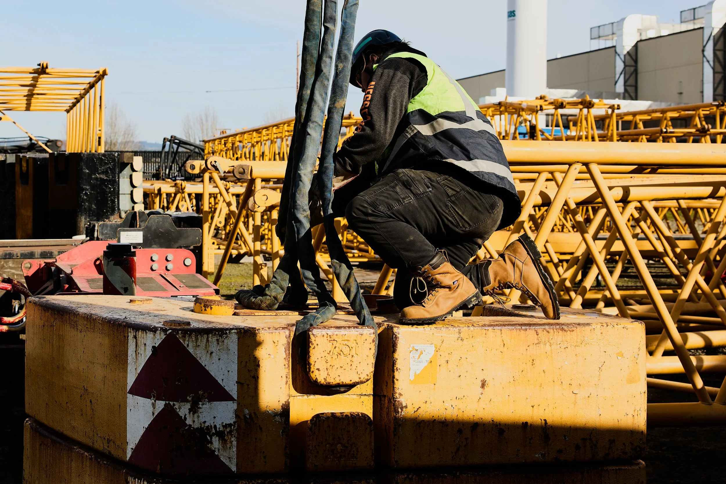 DNR_GoThere26_Crane_2432.jpg