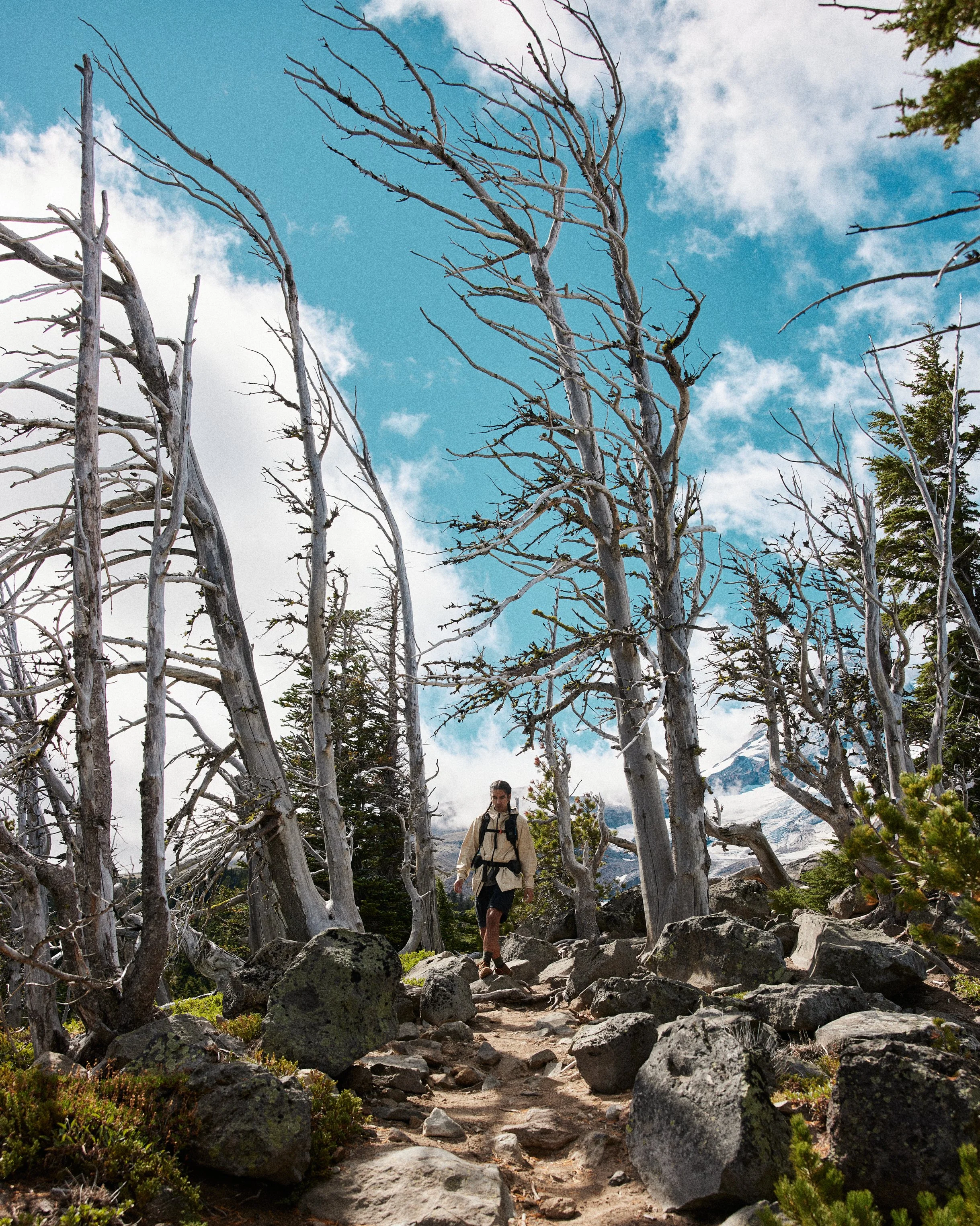 DNR_MtHood_wholesale_0614.jpg
