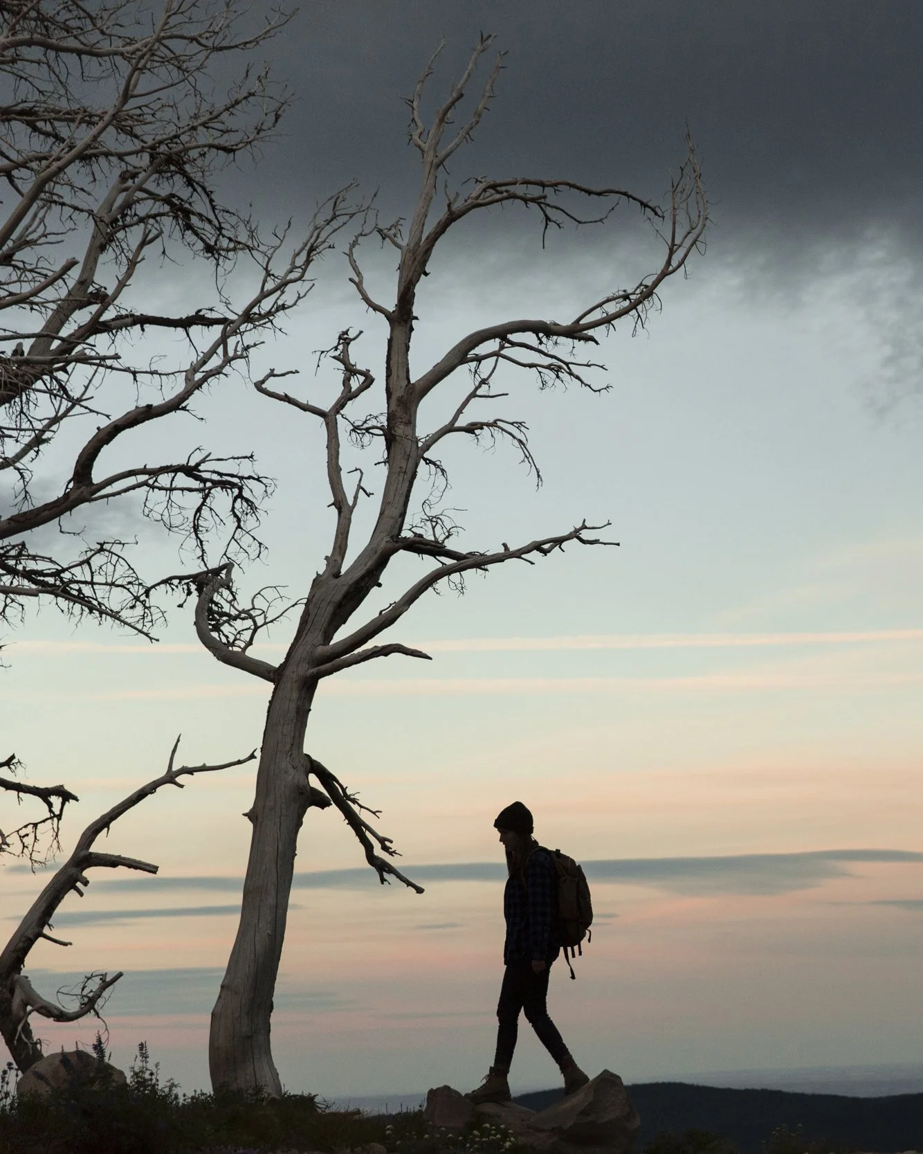Danner_CloudCap_0022Crop.jpg
