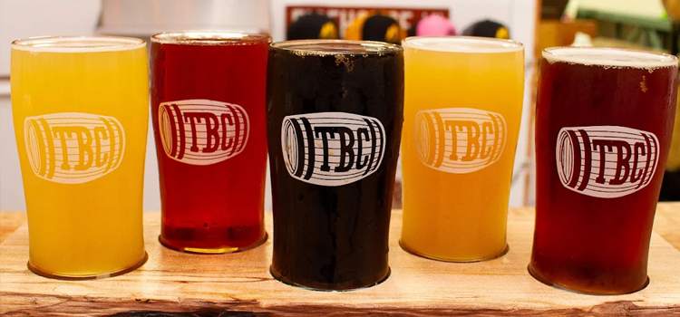 Taster flight of beer at Triceratops Brewing