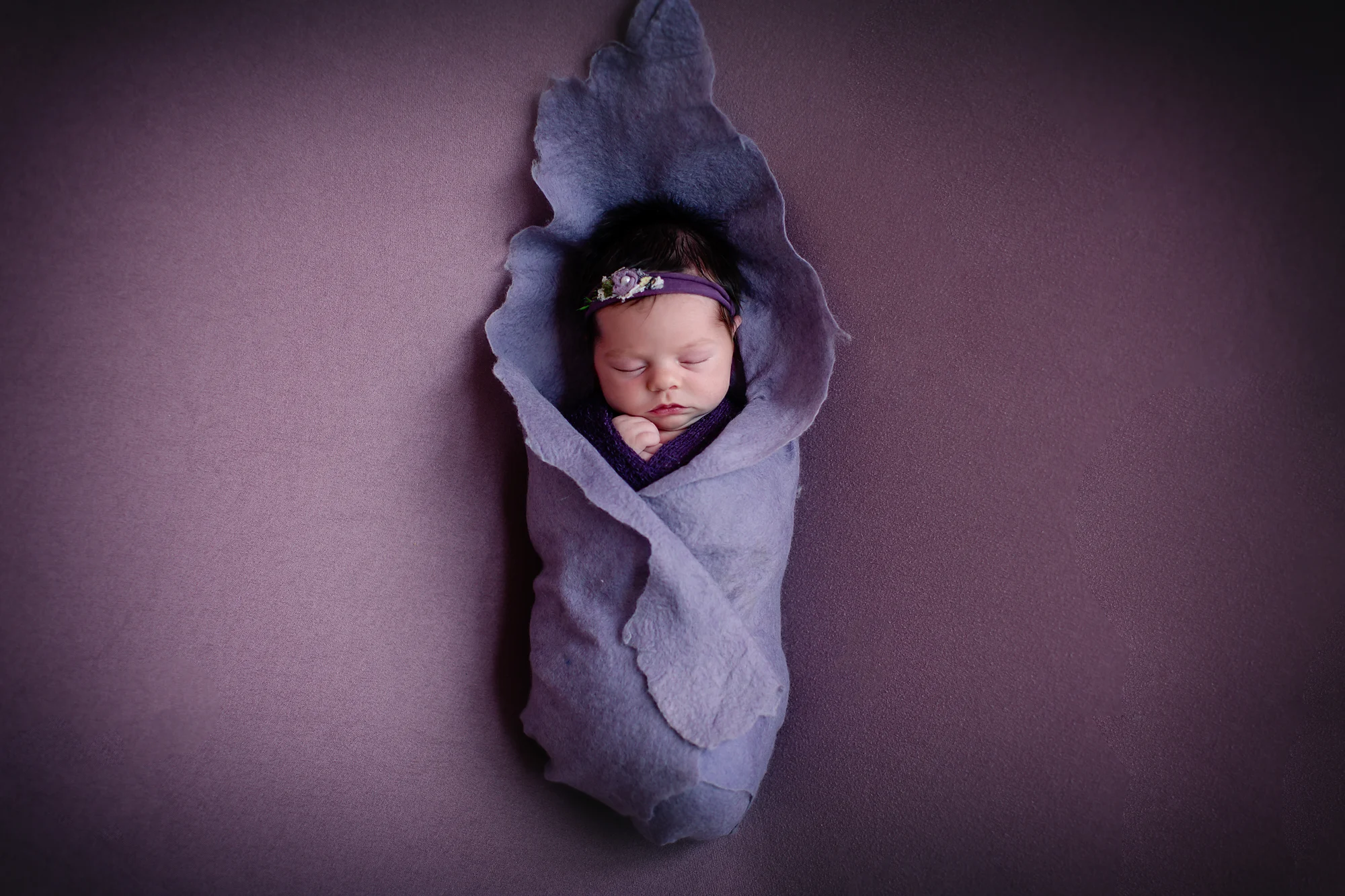 Newborn baby girl photoshoot idea. Ana Brandt inspired shot. Baby girl is wrapped in a felt material as a little flower.