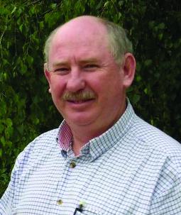 Professor Neil Mann