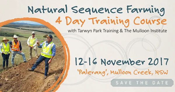 NSF Training - Nov 2017 - FLYER.jpg