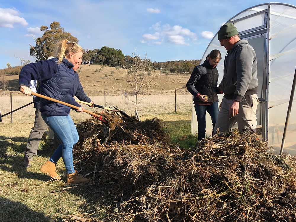 Making compost