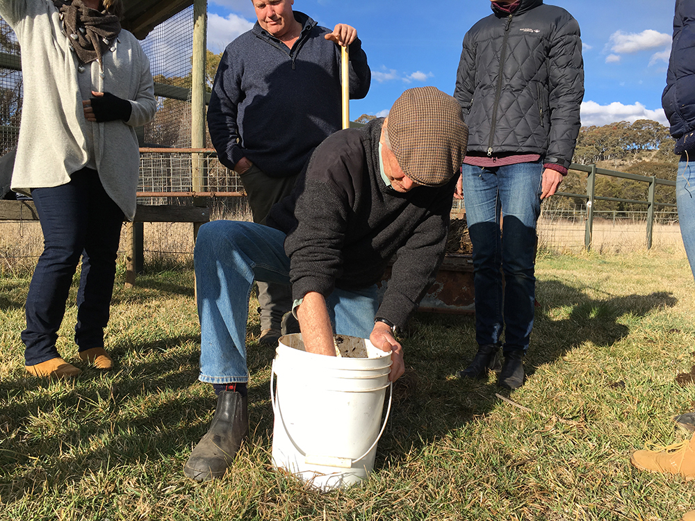 Making compost