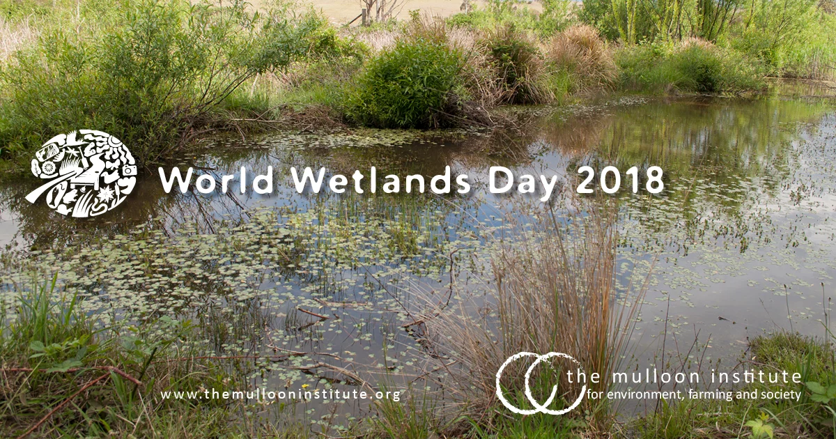 World-Wetlands-Day-2018.jpg