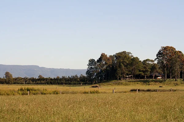Bannockburn-hdr.jpg