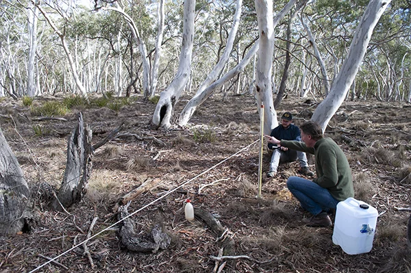 Conducting soil infiltrometer assessments