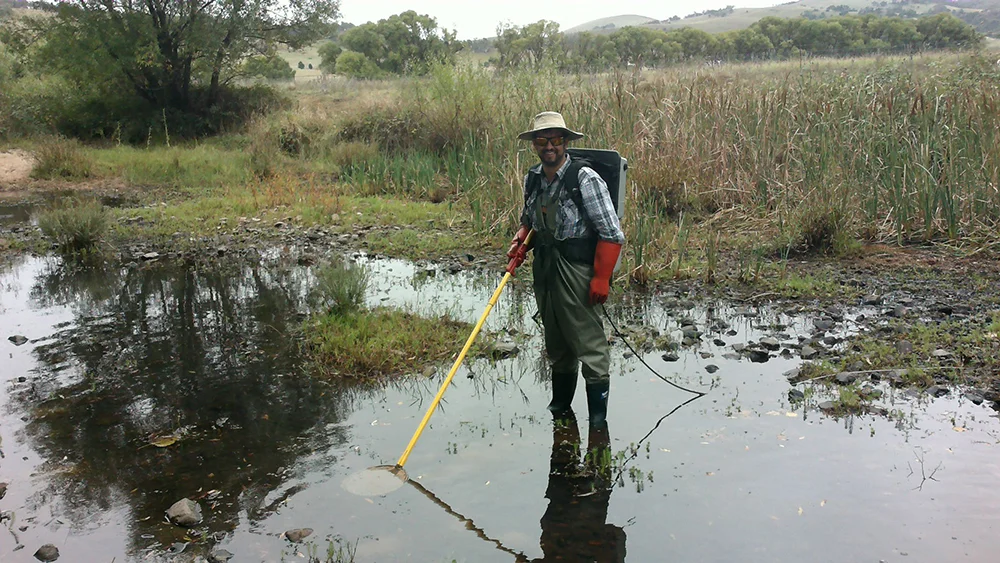 Dr Dan Starrs from the Australian National University helping conduct the fish survey.