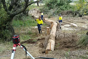 8. 10330094-3x2-300px.jpg