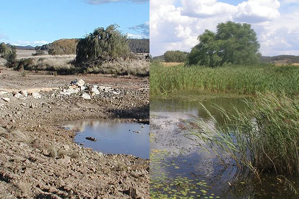 2006 vs 2013: Evidence of landscape rejuvenation at Mulloon Creek Natural Farms in Bungendore NSW.