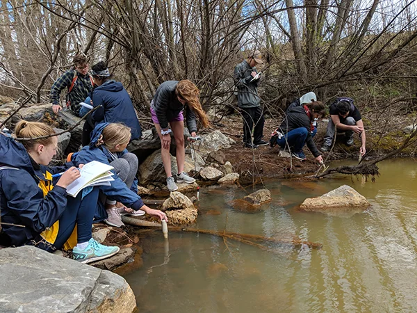 Assessing water quality downstream of a leaky weir
