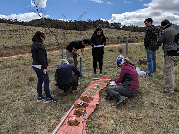 Soil sampling and analysis