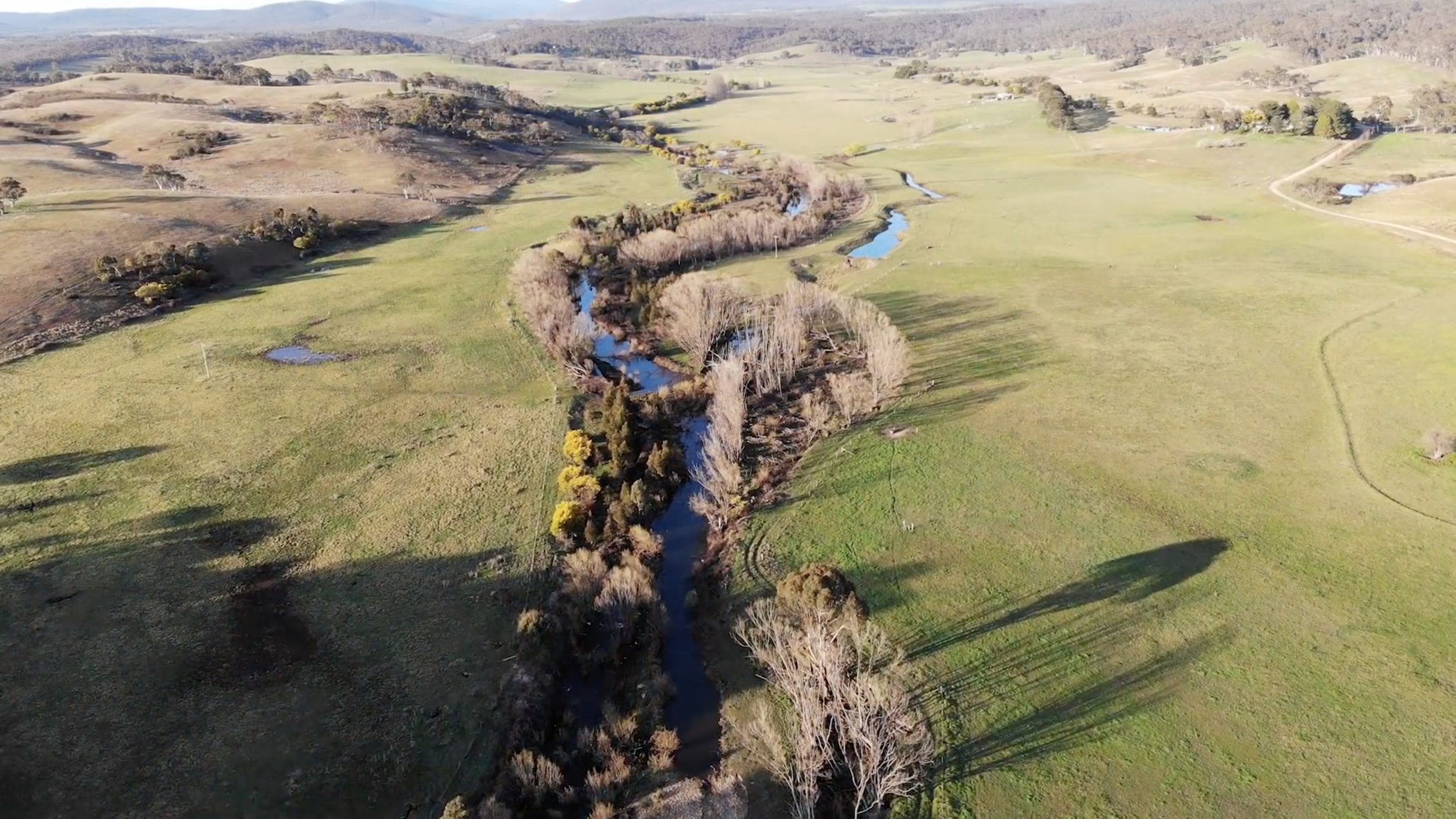 Combating Climate Change