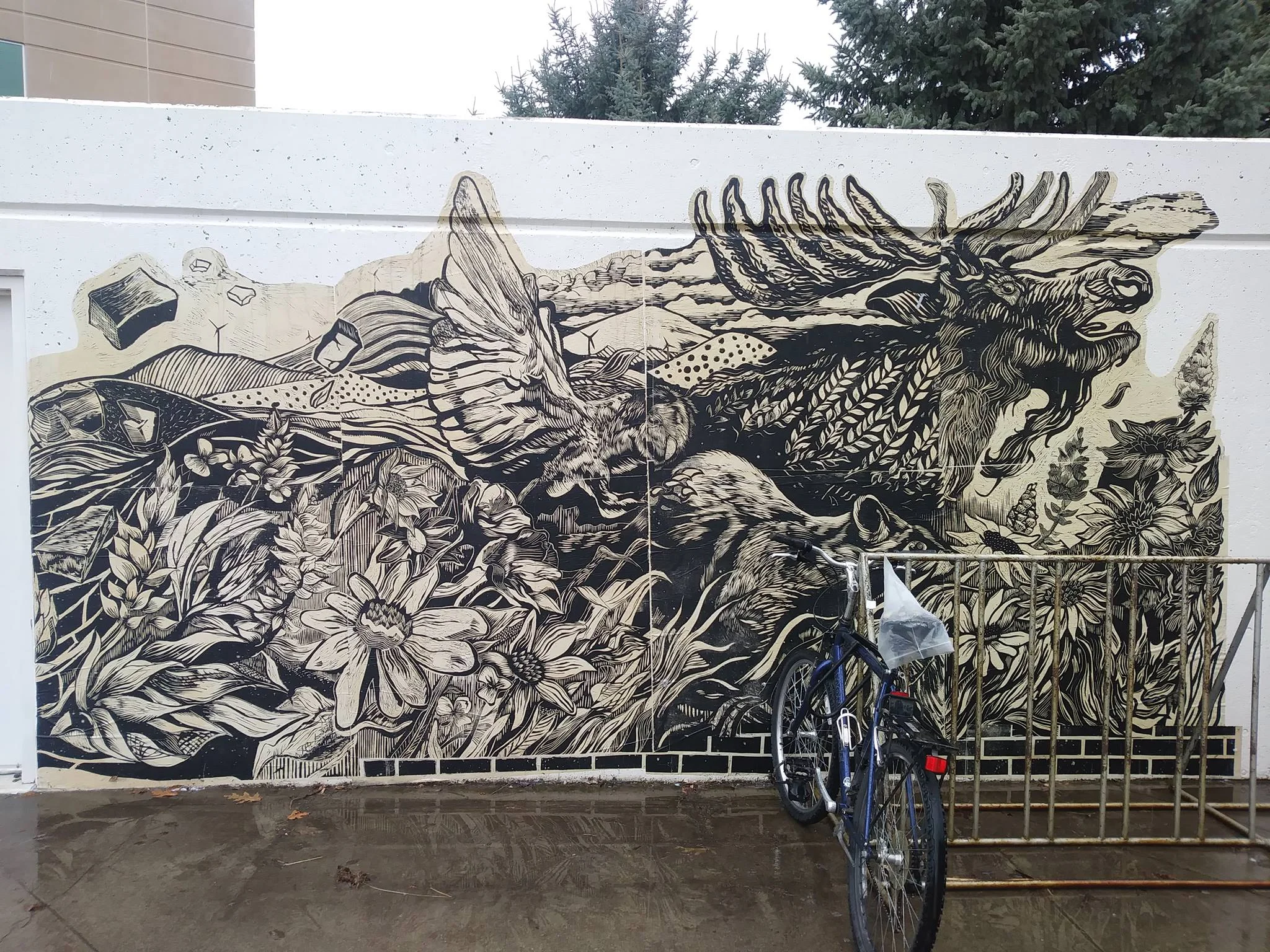 Installation at Eastern Washington University "inside out gallery"