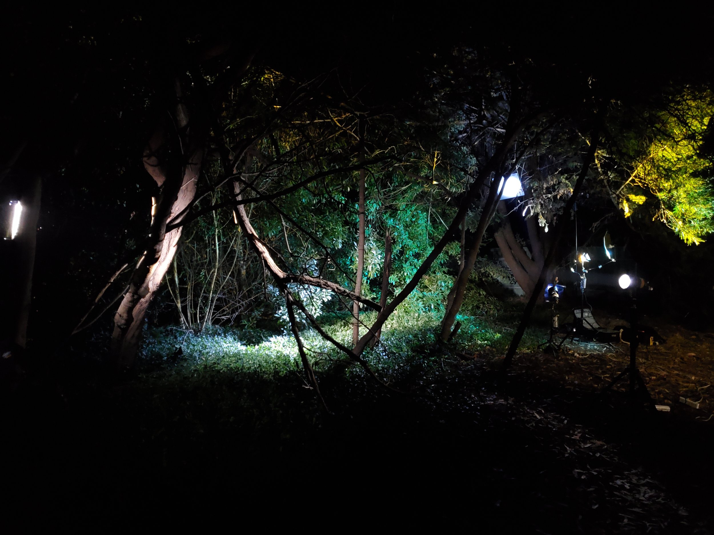 Lighting a forest area at night using 40w DLED and Lightstream only. 