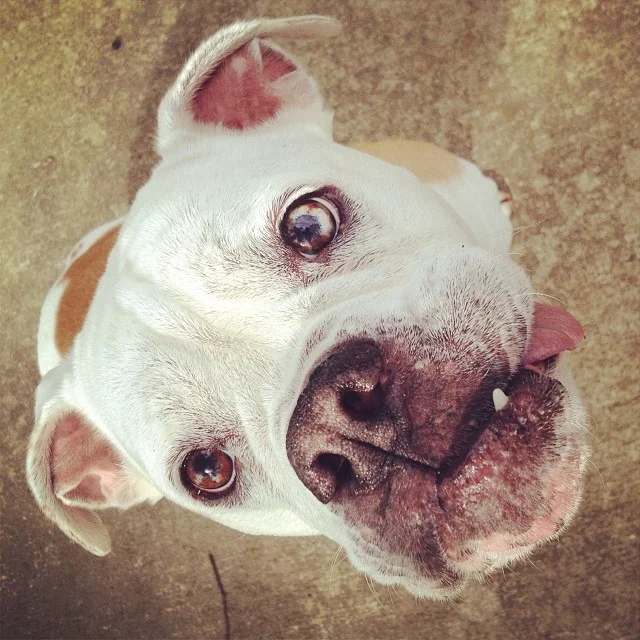 Lola