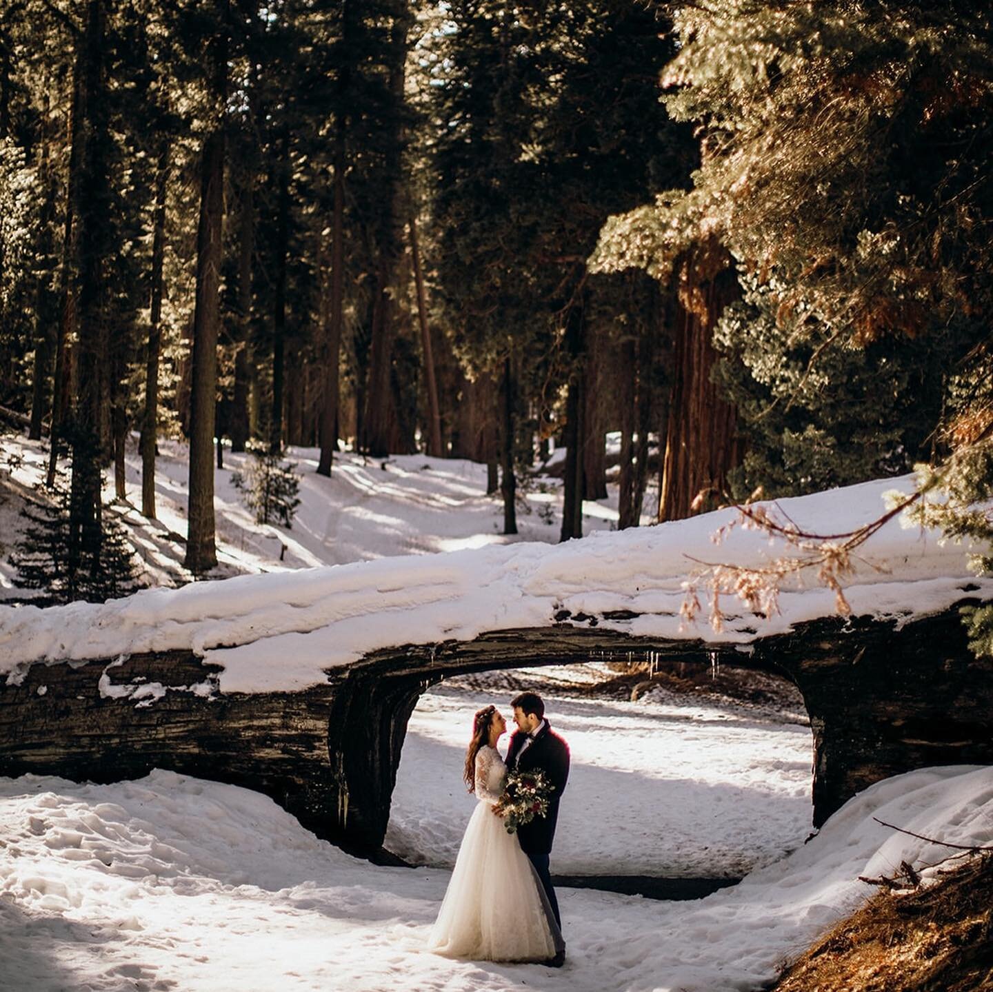 Eloping in a winter wonderland 😍

Swipe for winter magic &mdash;&mdash;&gt; ❄️