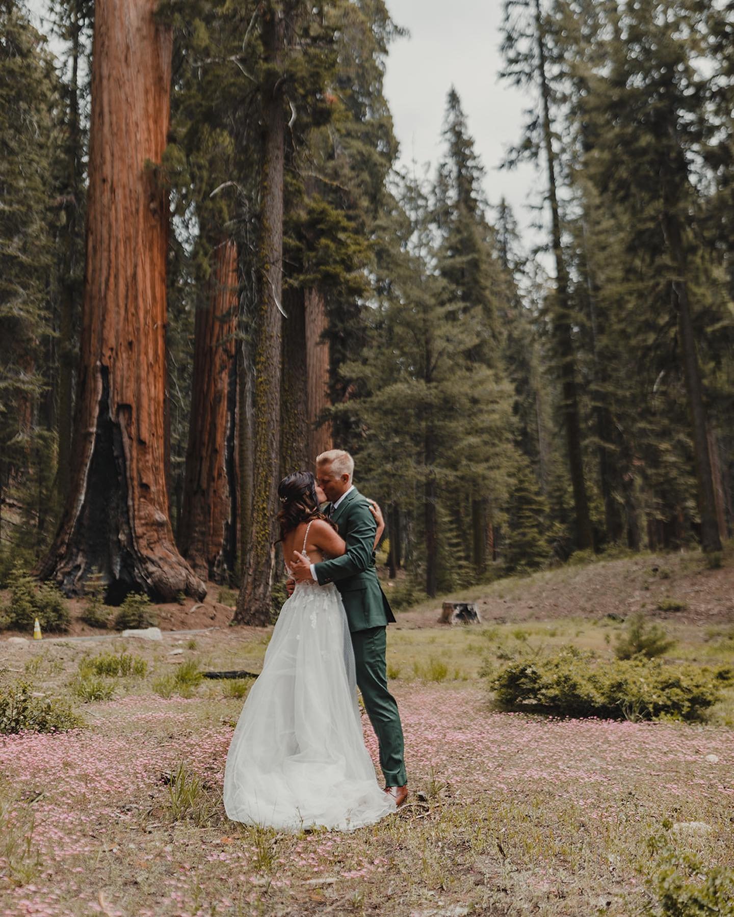 We&rsquo;re so excited about another year of epic love stories - especially our custom All-Inclusive Sequoia Weddings! 🌲
Our collections range from simple 2-person elopements, to up-to-100 people, and include just about everything needed for your da