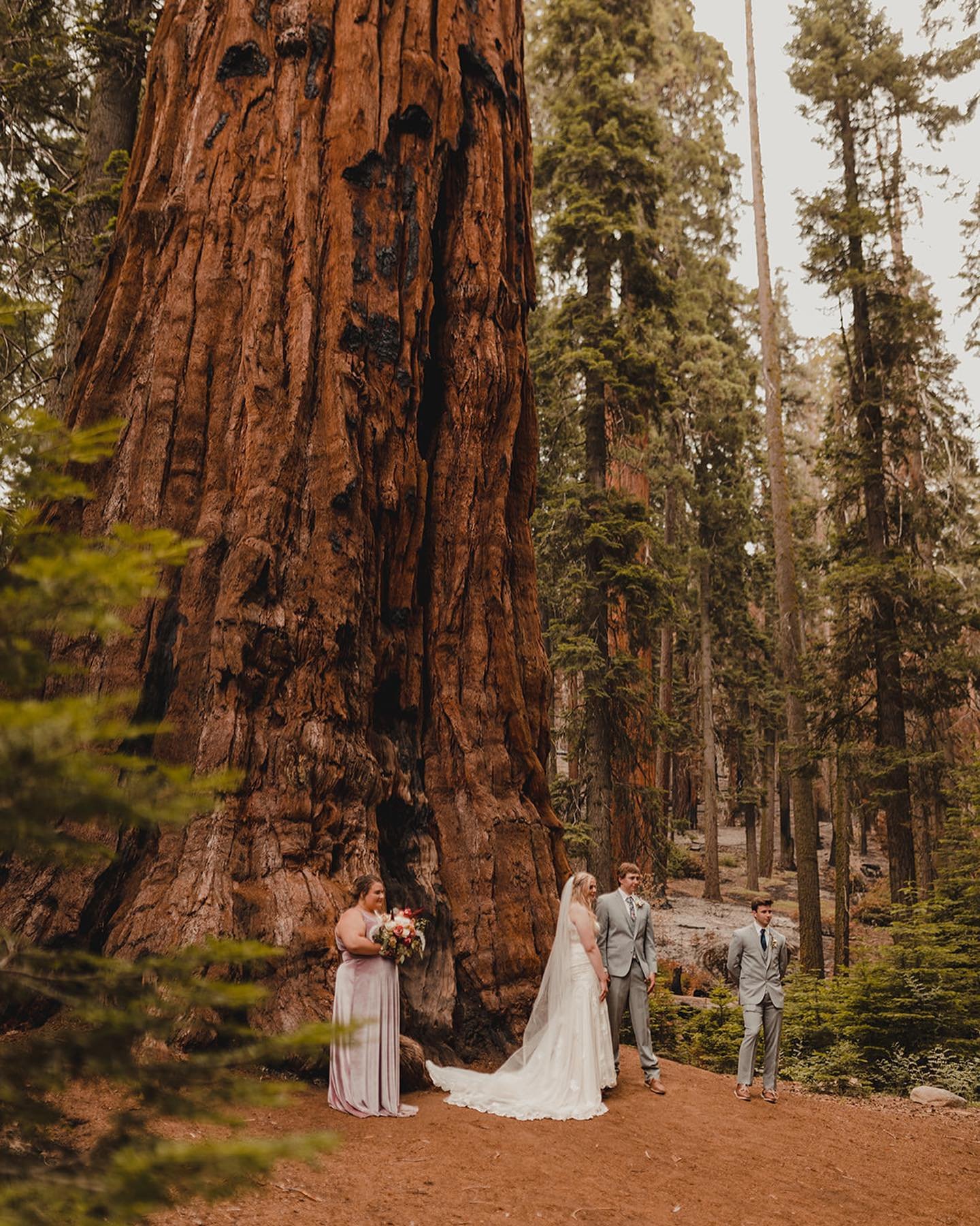 Hannah &amp; Zac, under the great giants🌲