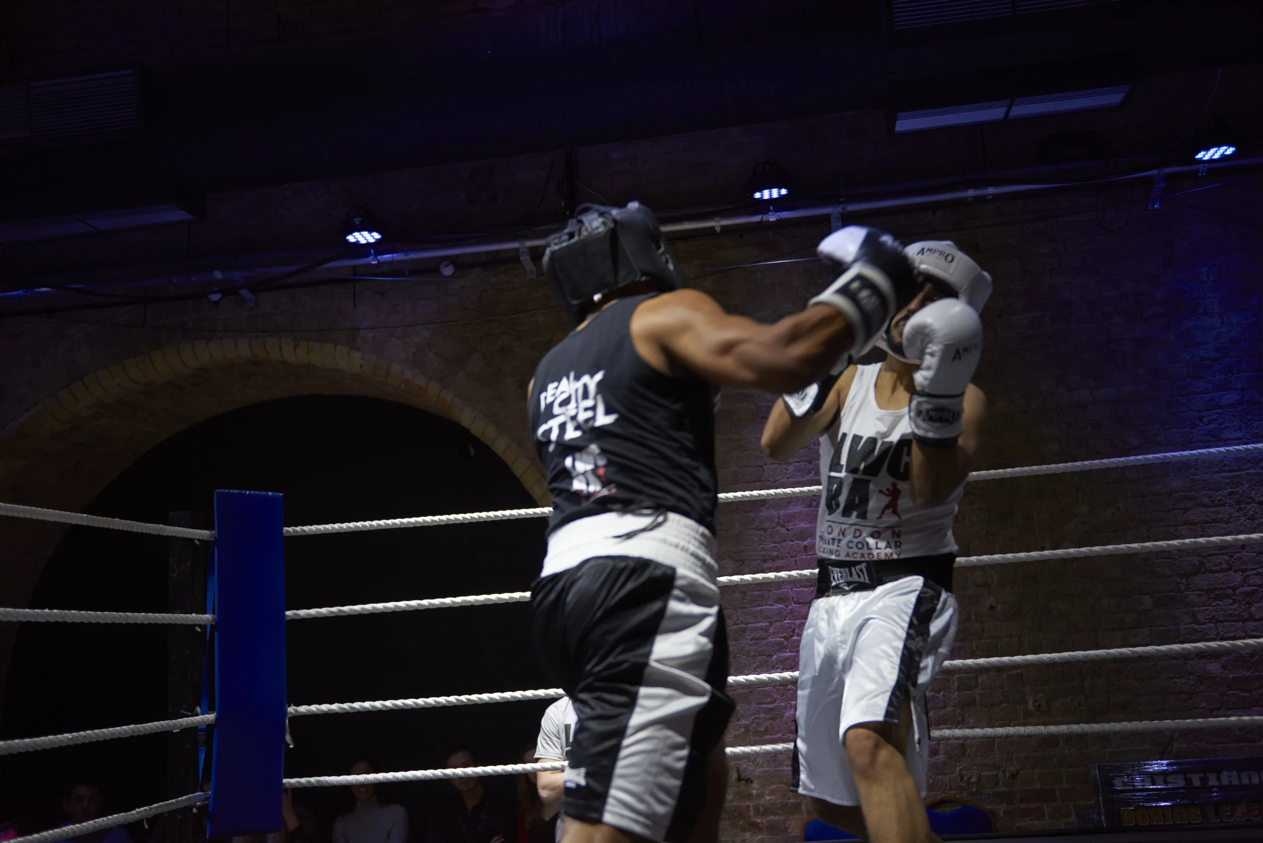 Fight7.jpg