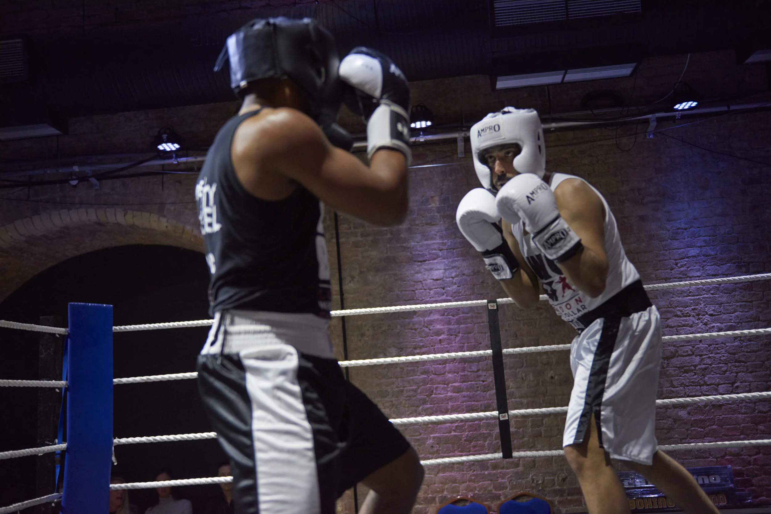 Fight8.jpg