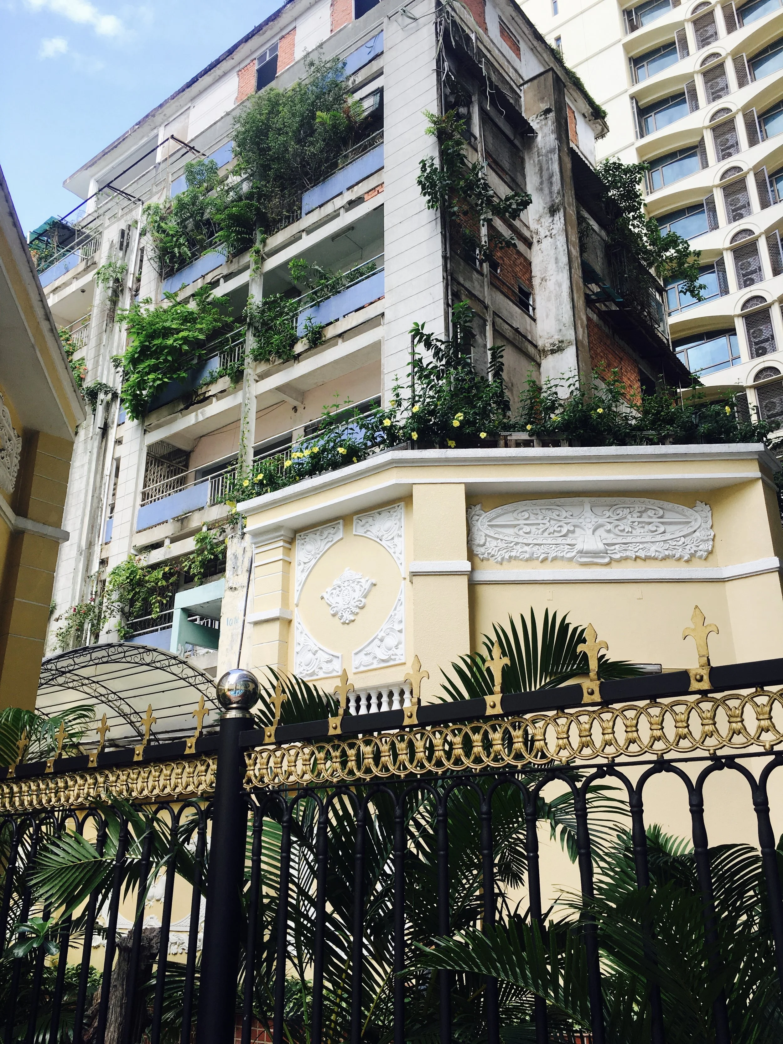 View from the pool. I love how they cram greenery in any way they can in Saigon!