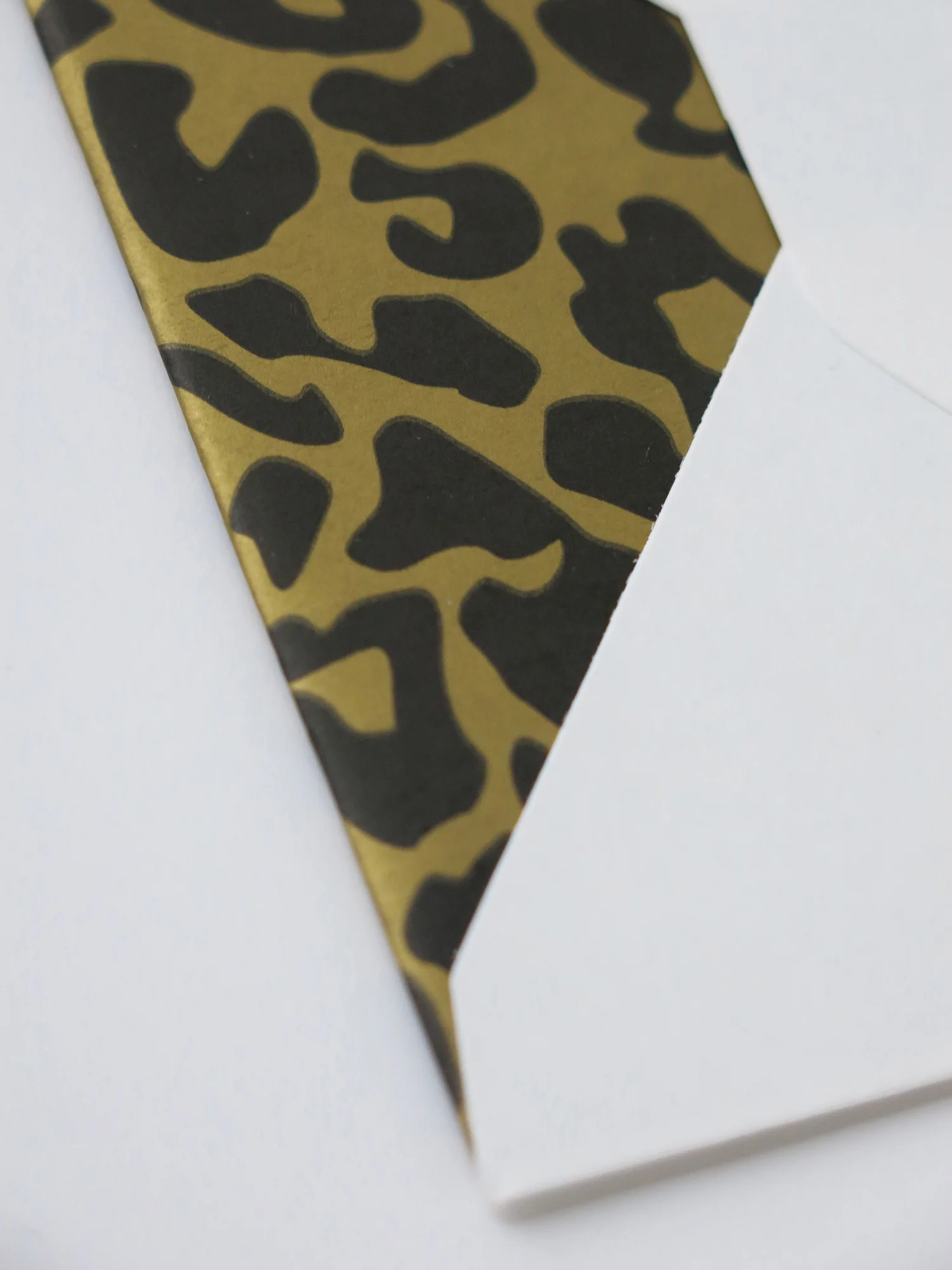 envelope2_web.jpg
