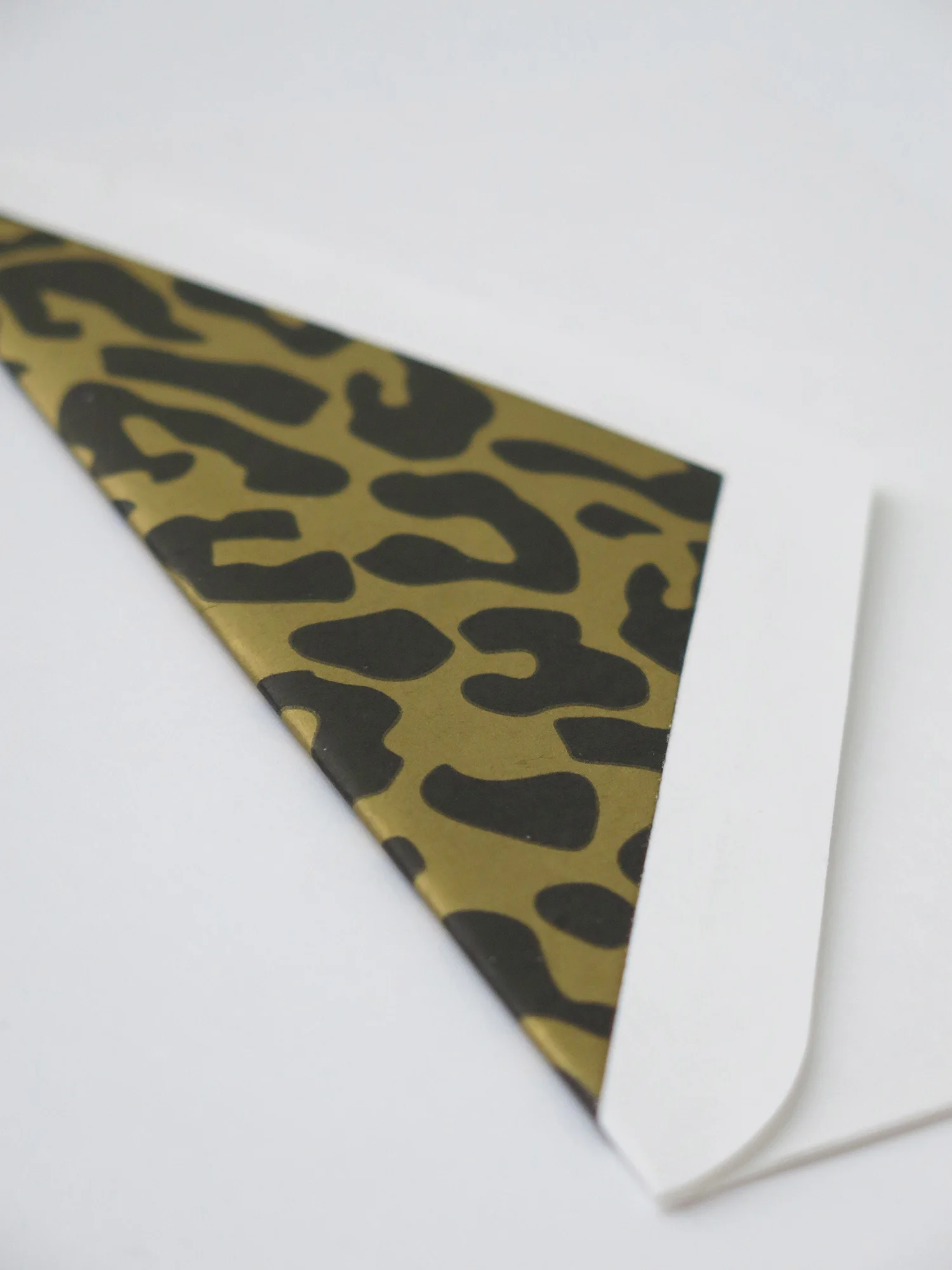 envelope1_web.jpg