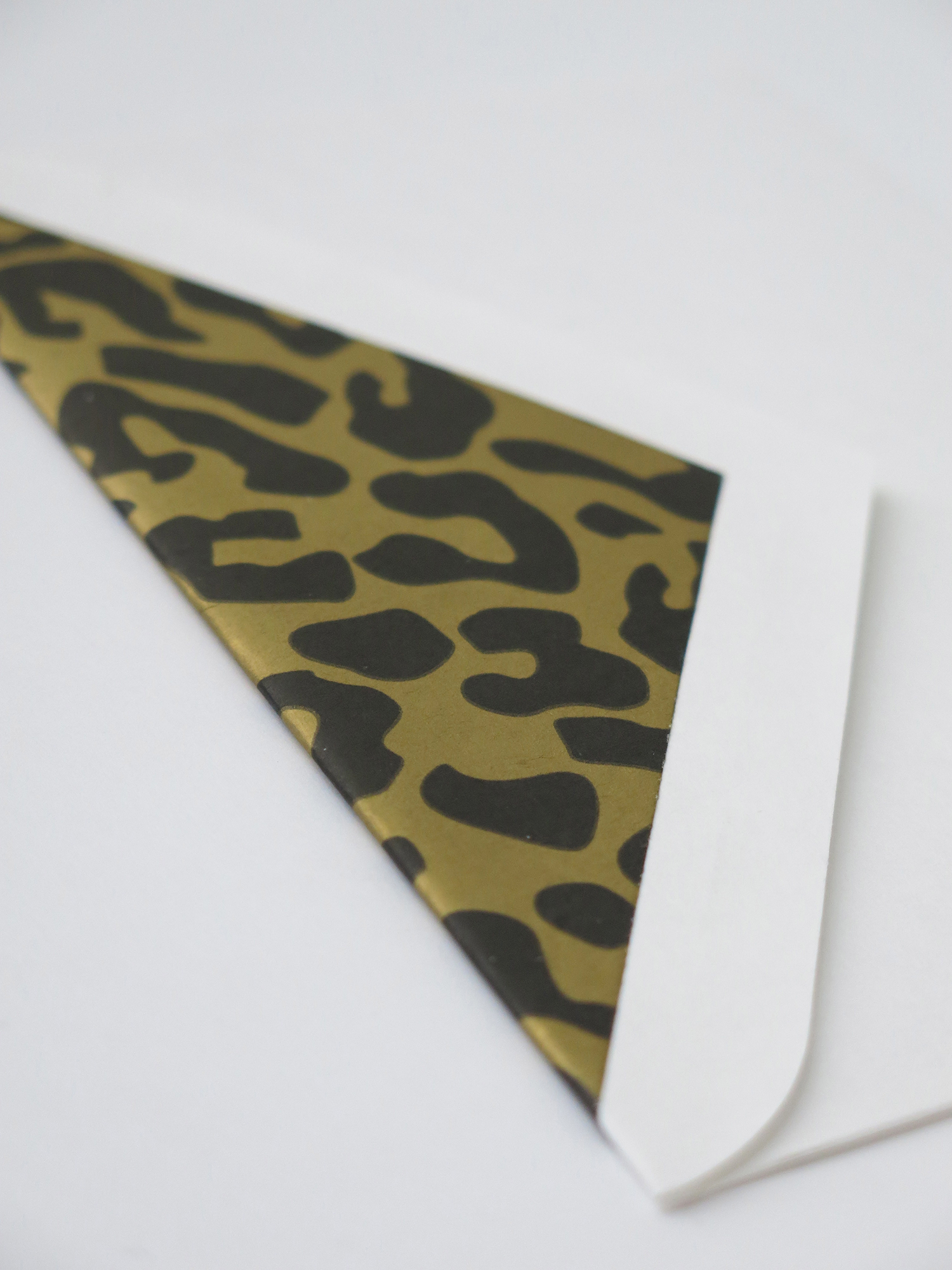 envelope1_web.jpg