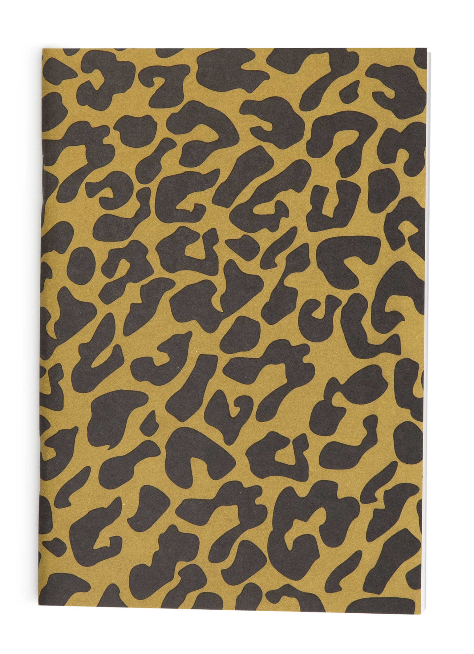 Leo notebook front.png