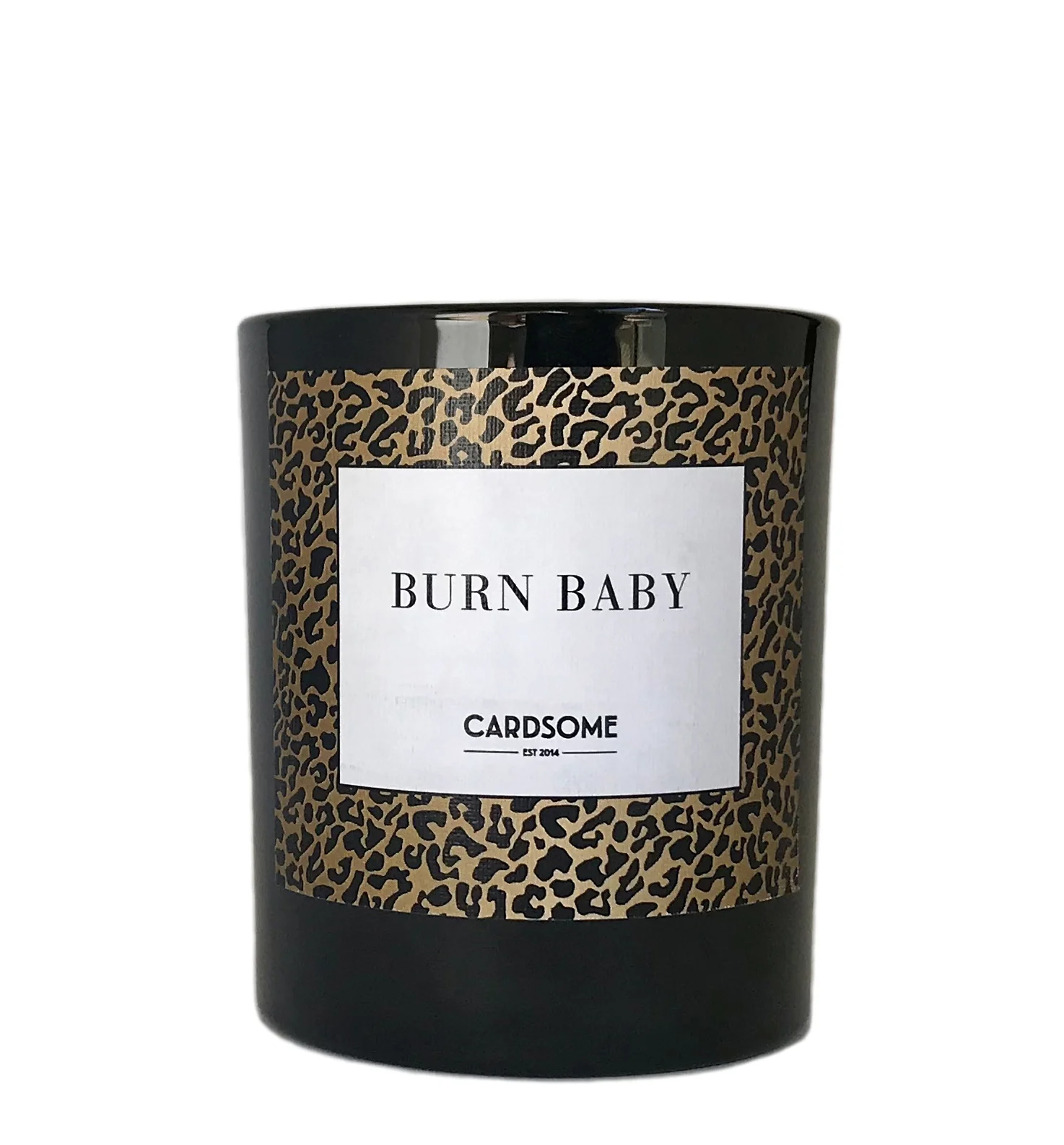 Burn Baby.jpg