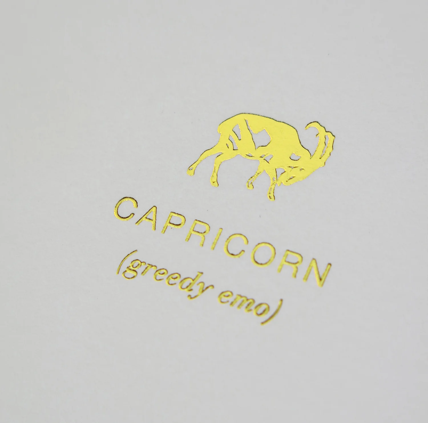 capricorn_web.jpg