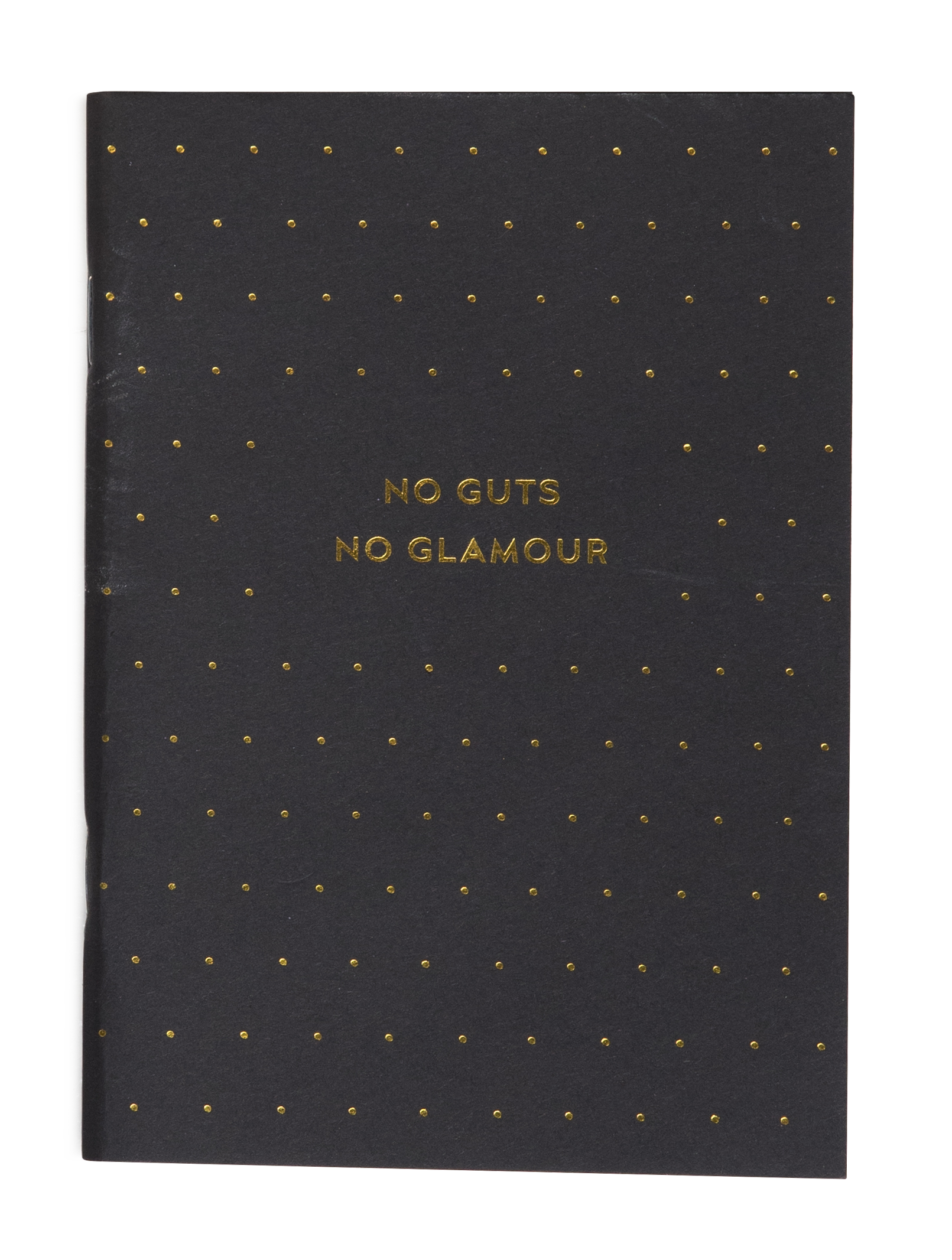 No guts notebook front.png
