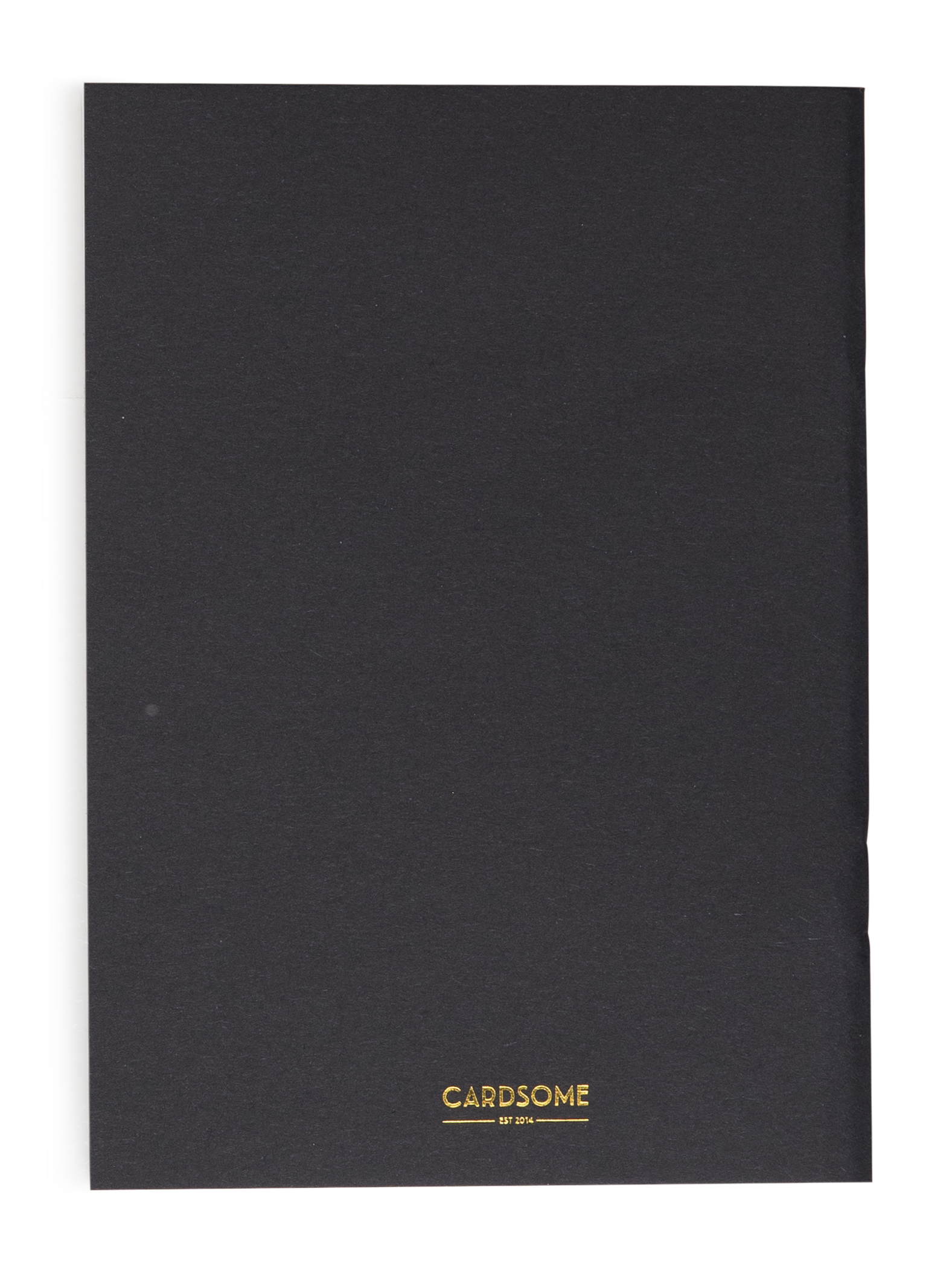 No guts notebook back.png