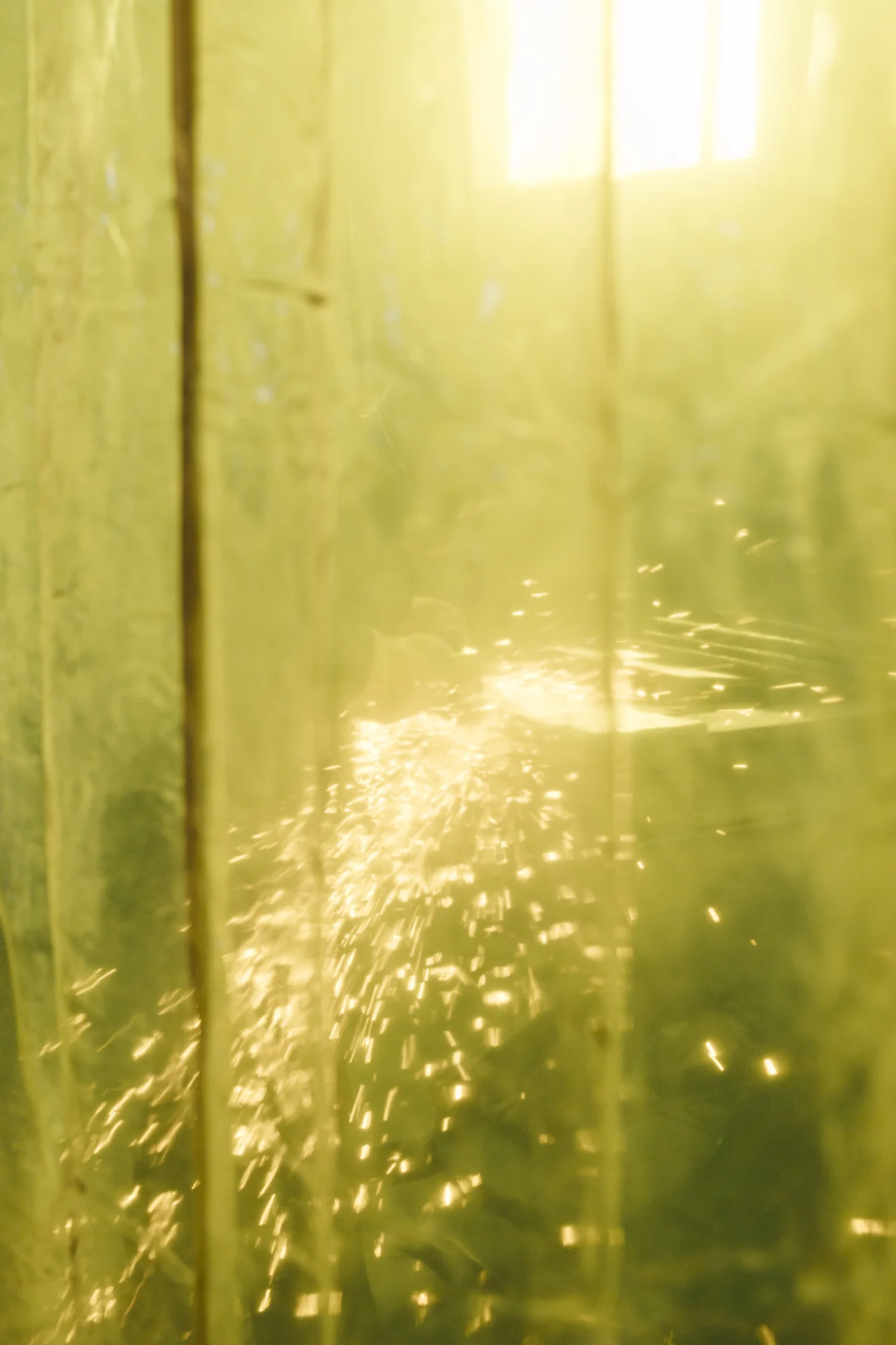 Telakan naiset 004.JPG