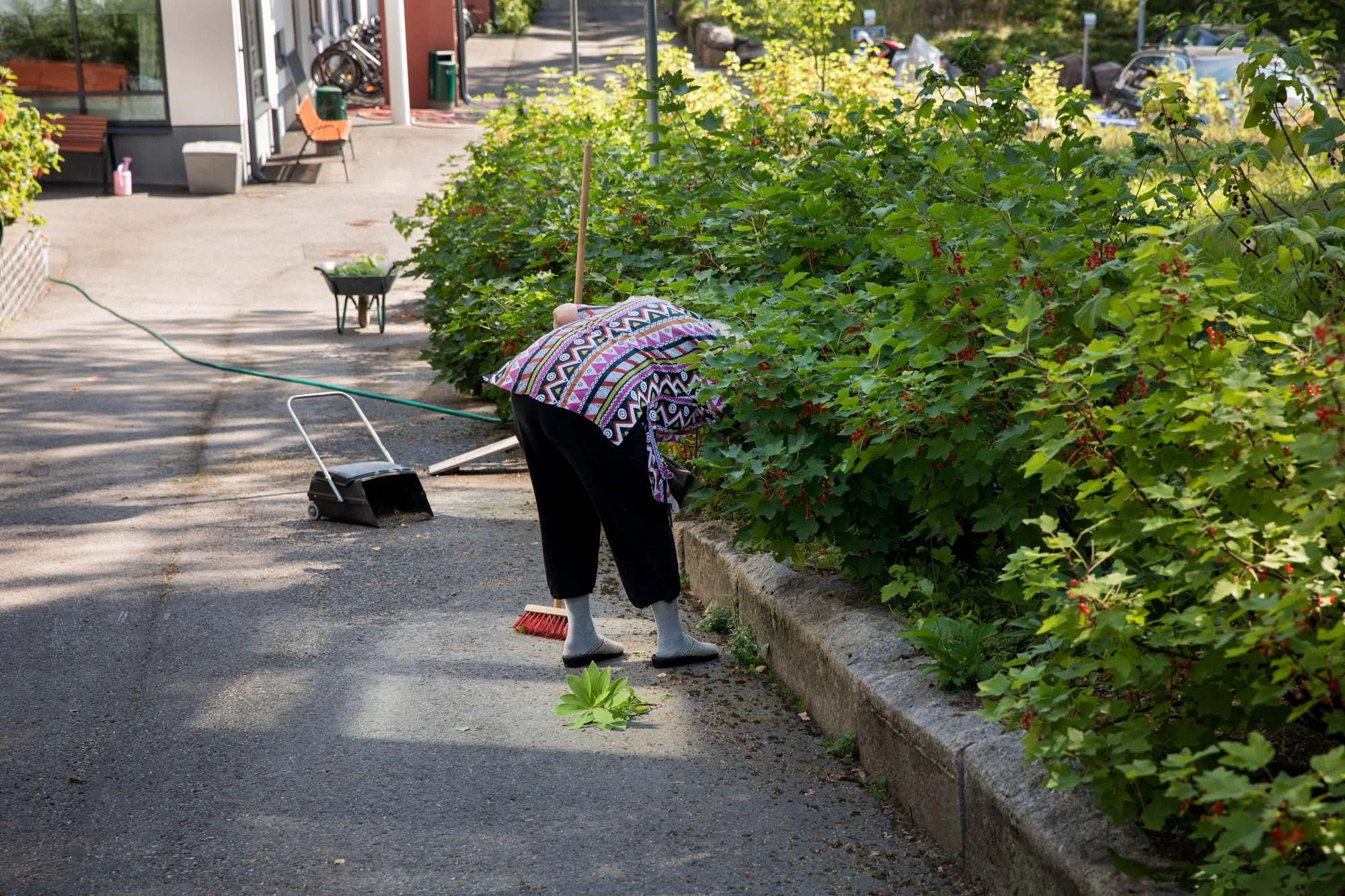  Kuva: Miikka PirinenCopyright © 2021 Miikka Pirinen 