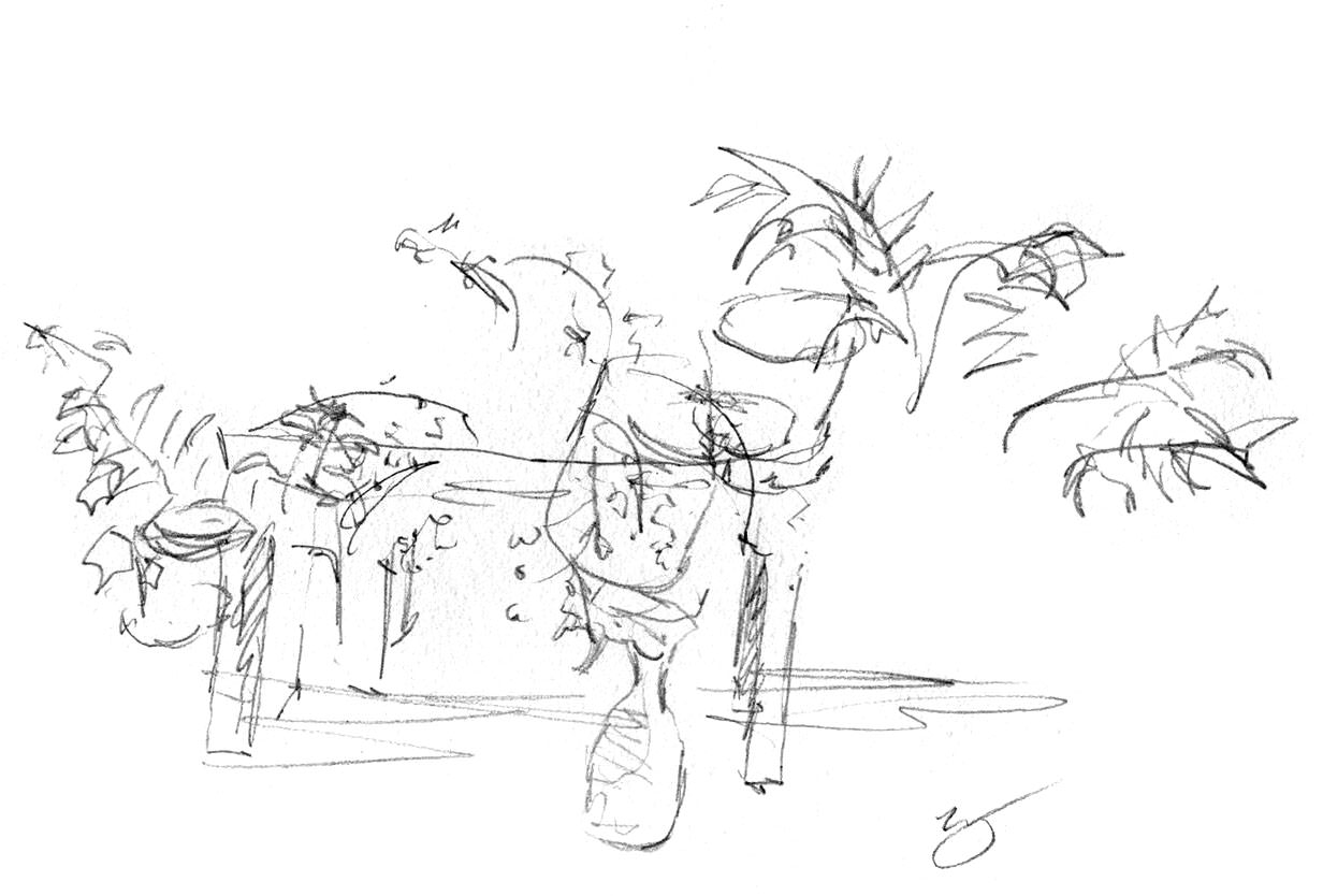 exercise drawing with name A table with plants as part of a drawing exercise for beginners where you don’t look at the paper until you’re finished.