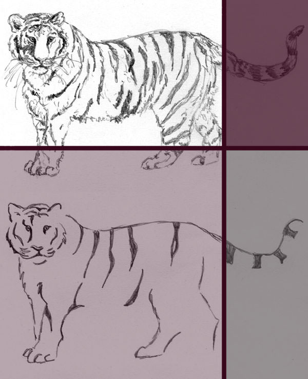 exercise drawing with name How to Simplify your Drawings