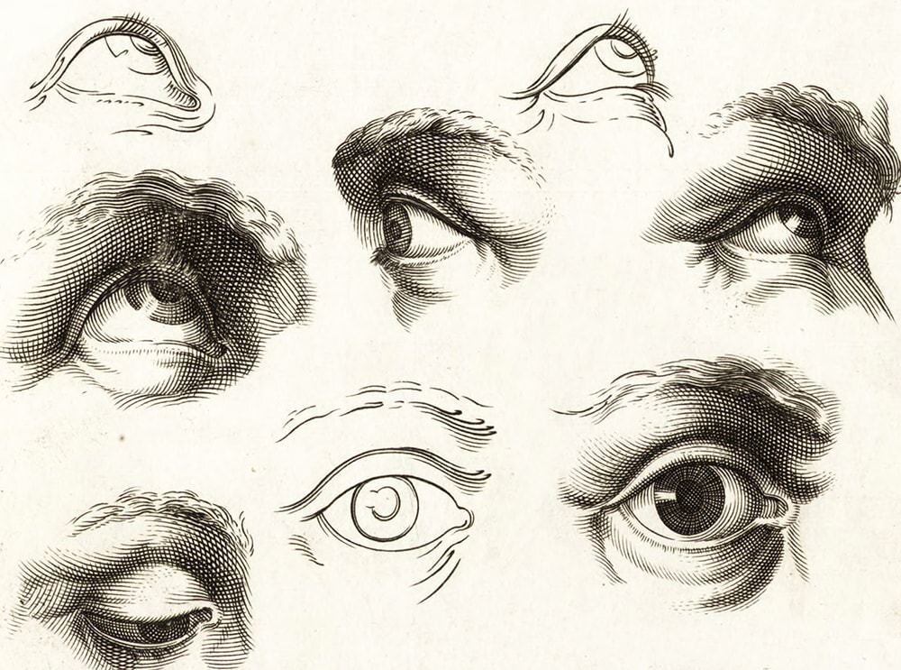 How to Draw Eyes - Learn How to Make Your Own Realistic Eye Drawing