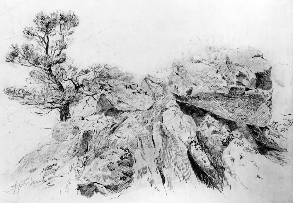 Detailed sketch of rocks and a tree by Walter Shirlaw