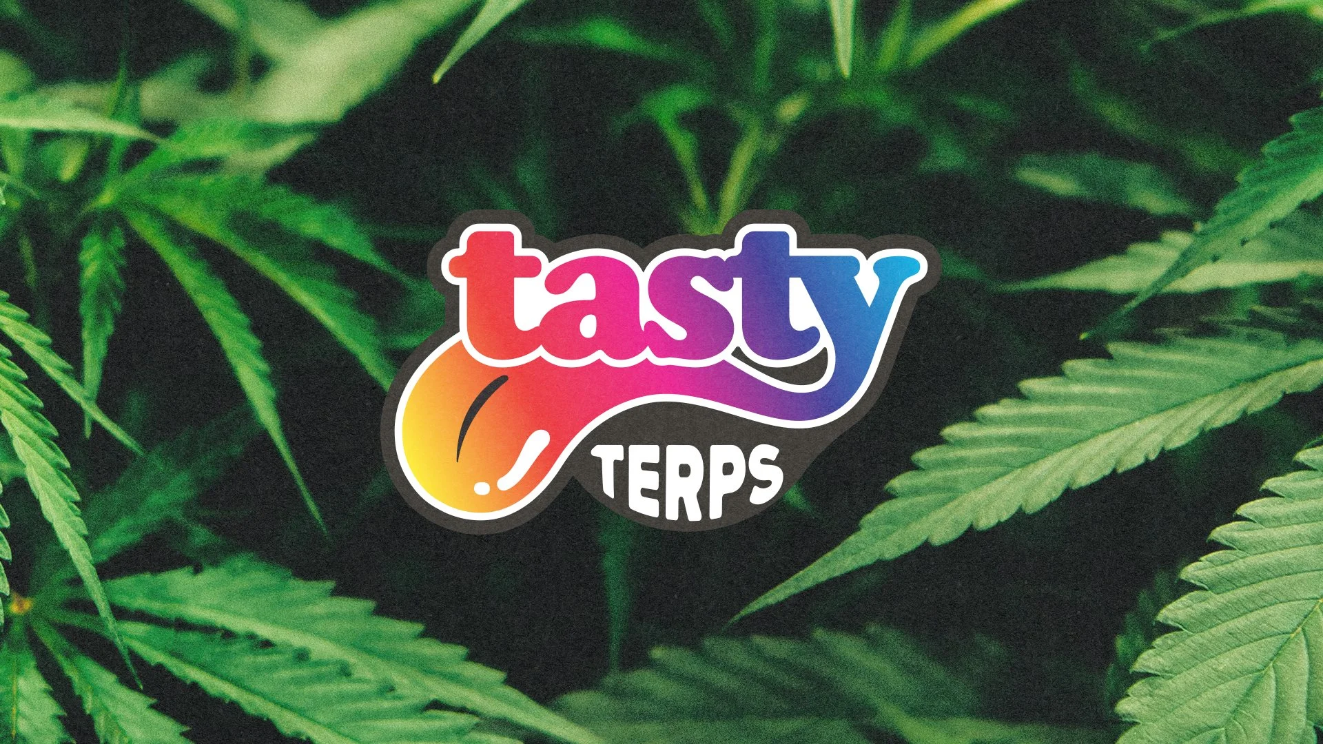  When Tasty Terps set out to build their identity, they skipped the quiet whispers and dialed the amp straight to eleven. It’s an unapologetic badge designed for taste chasers who demand their flavor turned all the way up. 