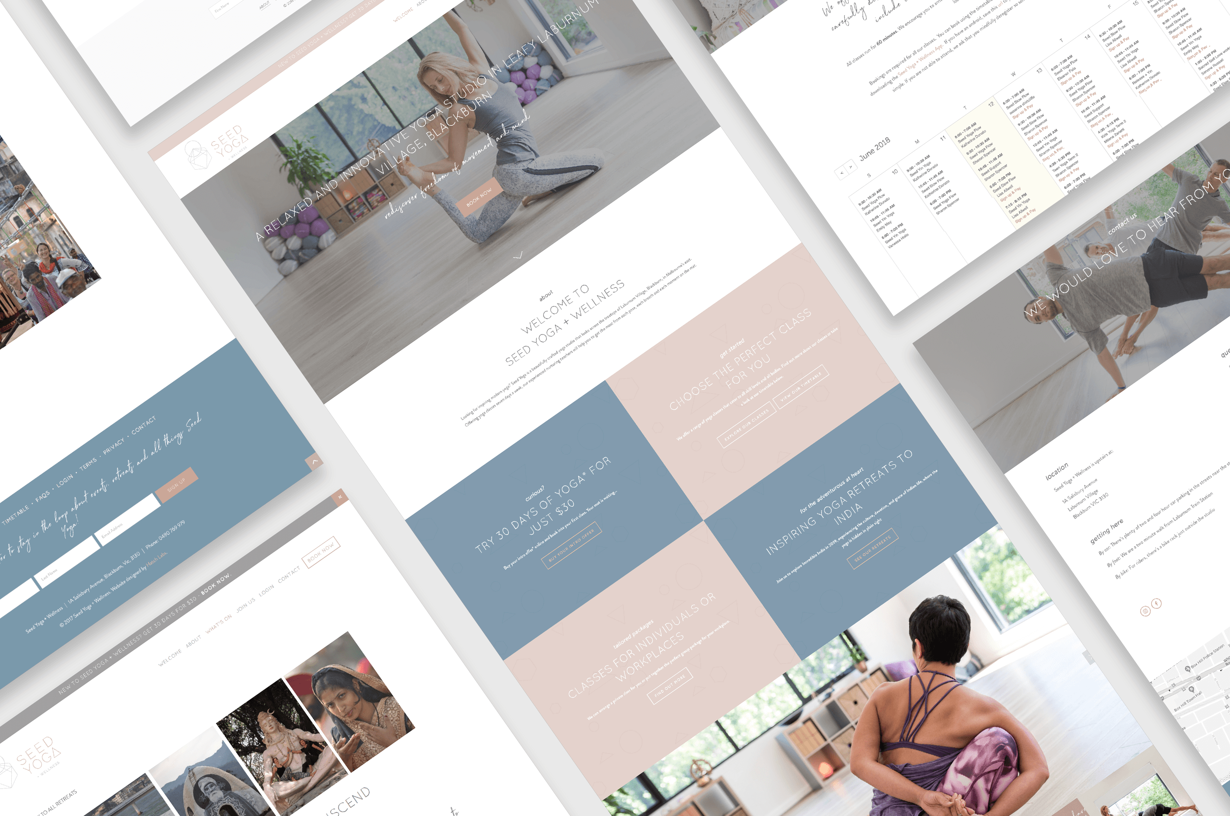 squarespace-website-design-for-small-business-seed-yoga-wellness.png