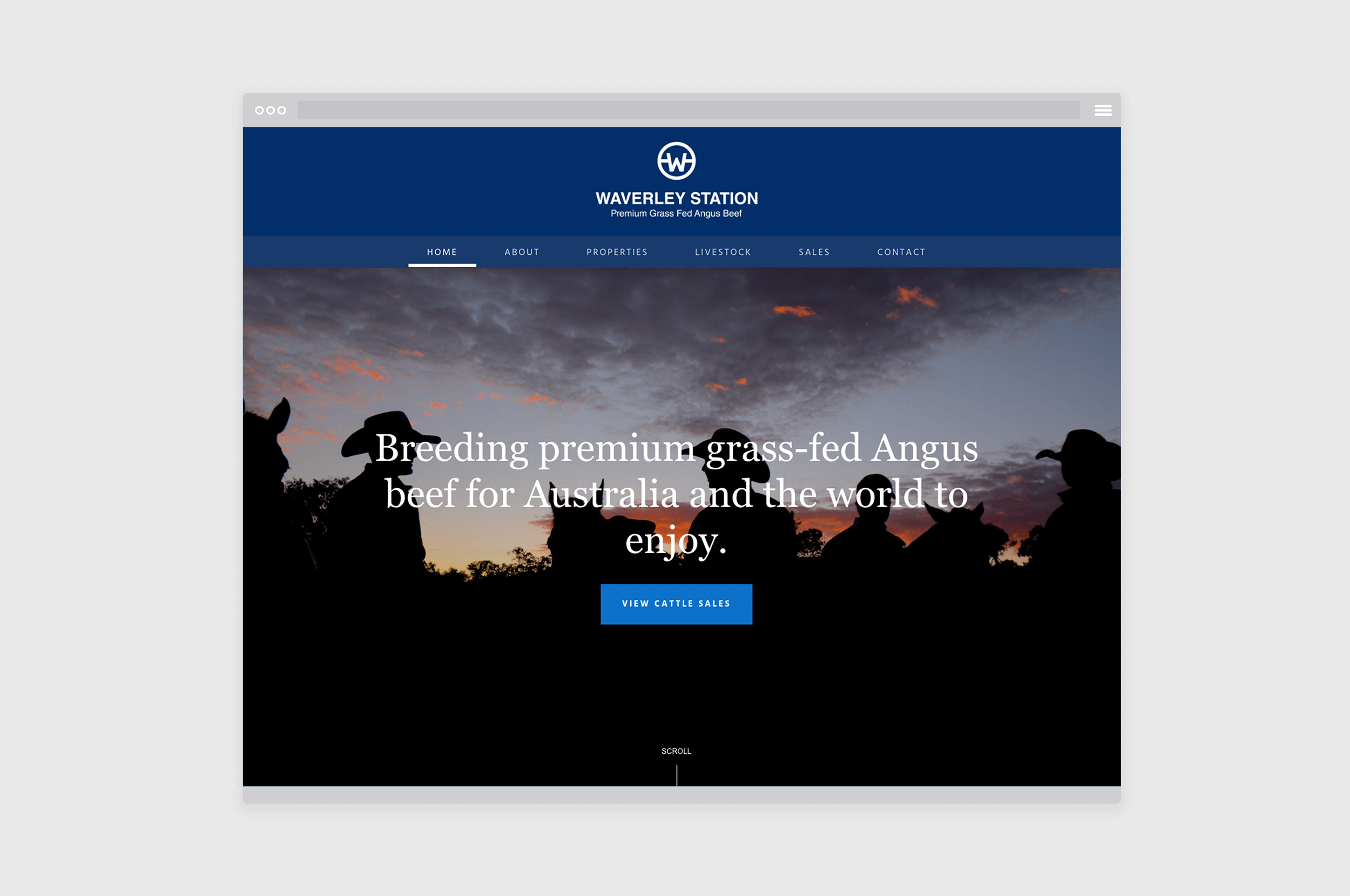 branding-squarespace-web-desgin-melbourne-waverley-station.png